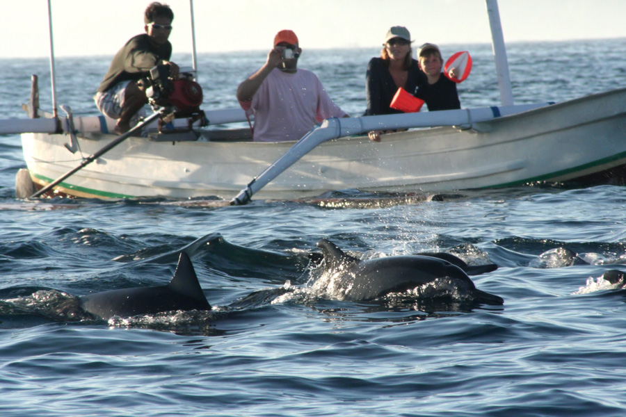 Bali 2 days 1 night with dolphin tour