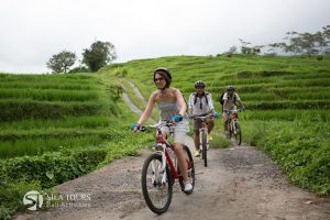 Bali Downhill cycling