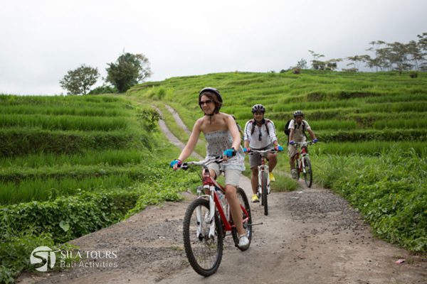Bali Downhill cycling