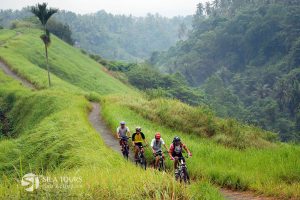 Bali Downhill cycling advanture