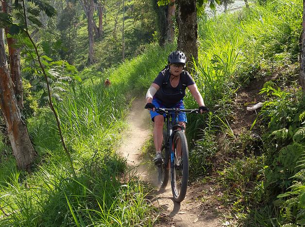 Bali Downhill cycling