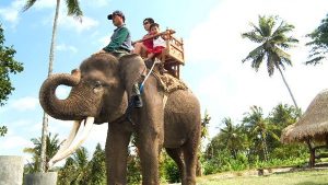 Bali Elephant ride tanah lot tour