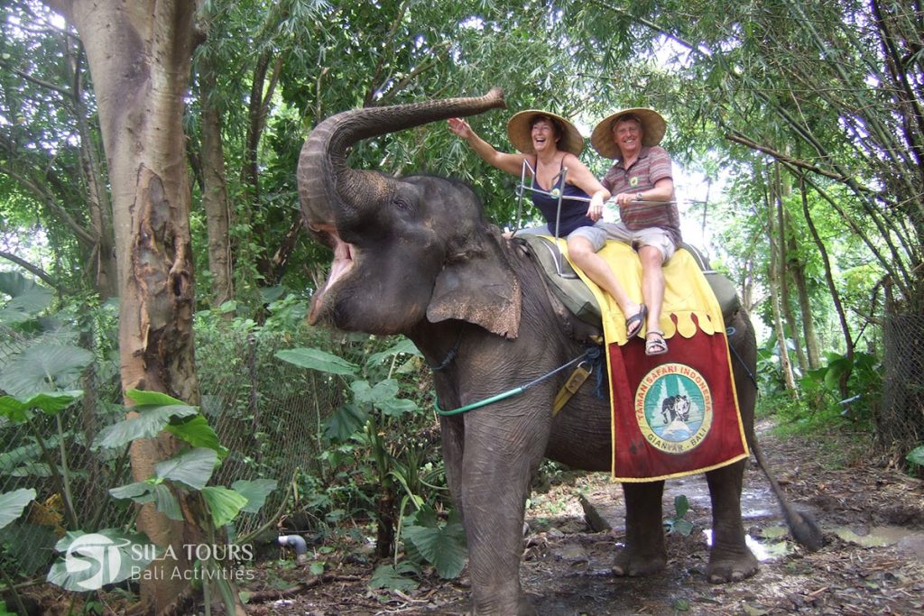 Bali Elephant ride tour