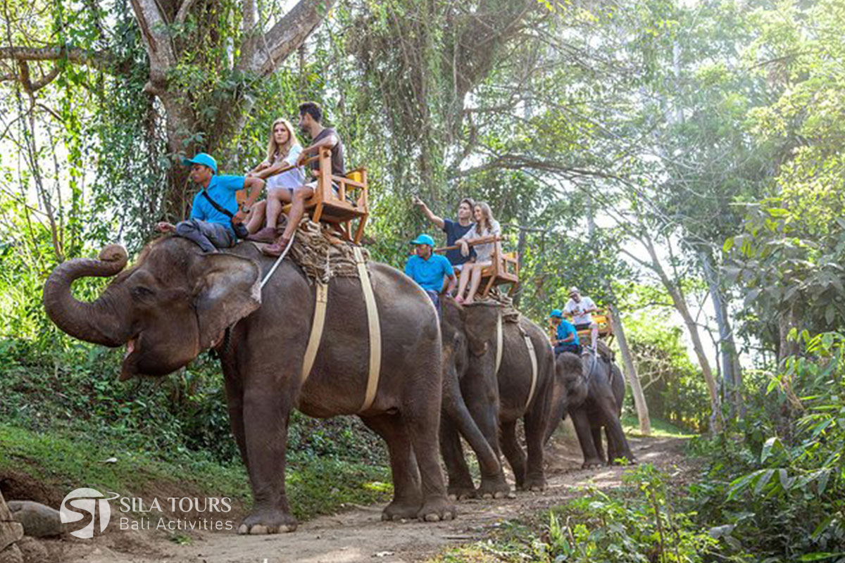 Bali Elephant ride