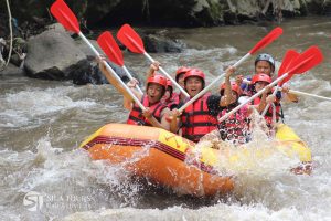 Bali Rafting and Safari Marine Park