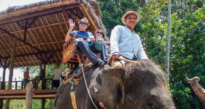 Bali elephant ride Uluwatu tour