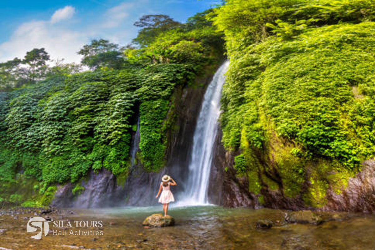 Munduk Waterfall - Lovina North Bali Full Day Tour