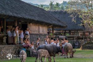 Tenganan Village - East Bali Full Day tour
