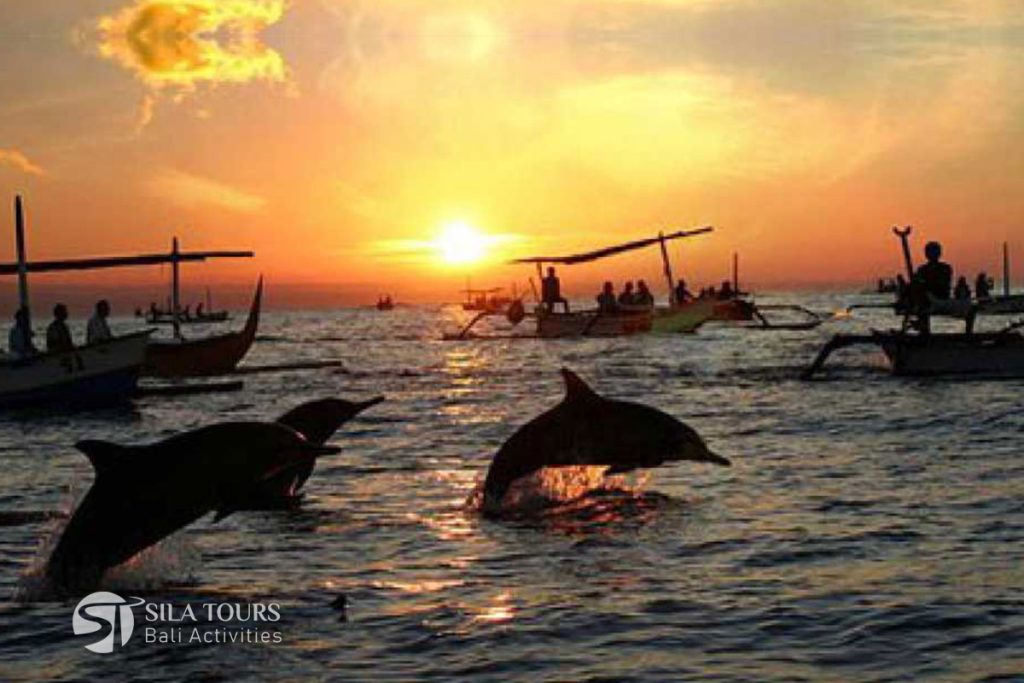 Bali Dolphin Tour